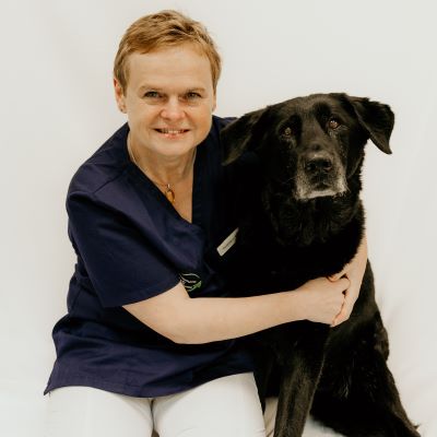 Tierärztin für Kleintiere seit 1994
Internistik/Chirurgie
In unserer Praxis seit 2010